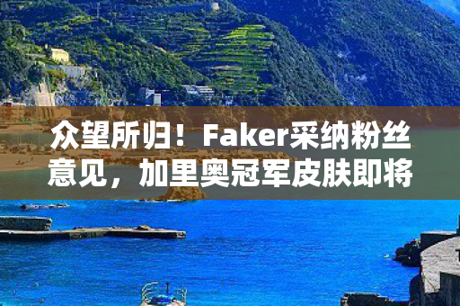 众望所归！Faker采纳粉丝意见，加里奥冠军皮肤即将问世