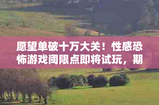 愿望单破十万大关！性感恐怖游戏阈限点即将试玩，期待值爆表！
