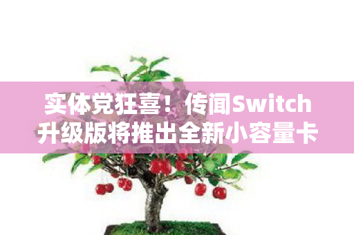 实体党狂喜！传闻Switch升级版将推出全新小容量卡带