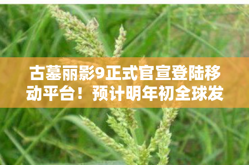 古墓丽影9正式官宣登陆移动平台！预计明年初全球发售，预告片欣赏