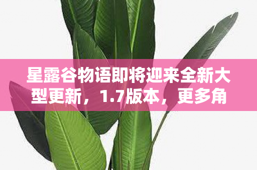 星露谷物语即将迎来全新大型更新，1.7版本，更多角色与社交内容等你来探索
