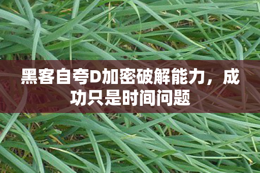 黑客自夸D加密破解能力，成功只是时间问题