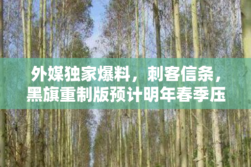 外媒独家爆料，刺客信条，黑旗重制版预计明年春季压轴发布