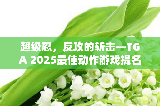 超级忍，反攻的斩击—TGA 2025最佳动作游戏提名与黑五促销震撼来袭