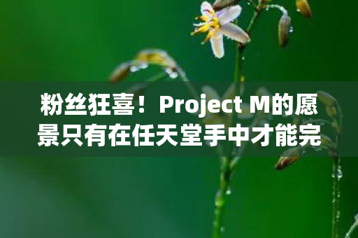粉丝狂喜！Project M的愿景只有在任天堂手中才能完美实现