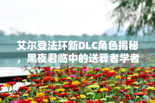 艾尔登法环新DLC角色揭秘，黑夜君临中的送葬者学者实机详解