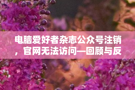 电脑爱好者杂志公众号注销，官网无法访问—回顾与反思