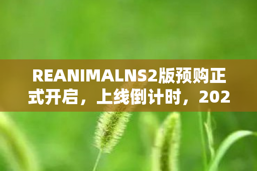 REANIMALNS2版预购正式开启，上线倒计时，2026年2月13日