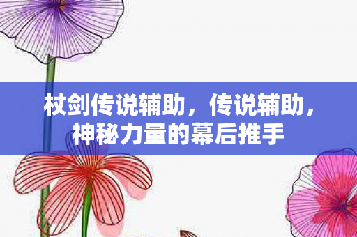 杖剑传说辅助，传说辅助，神秘力量的幕后推手