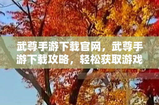 武尊手游下载官网，武尊手游下载攻略，轻松获取游戏资源，开启奇幻之旅