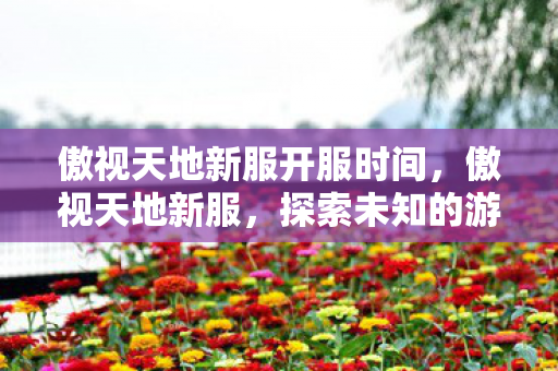 傲视天地新服开服时间，傲视天地新服，探索未知的游戏世界