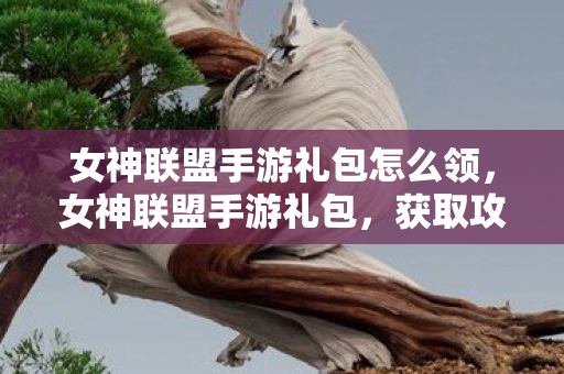 女神联盟手游礼包怎么领，女神联盟手游礼包，获取攻略及精彩体验