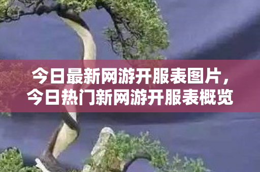 今日最新网游开服表图片，今日热门新网游开服表概览