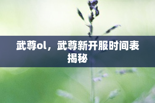 武尊ol，武尊新开服时间表揭秘