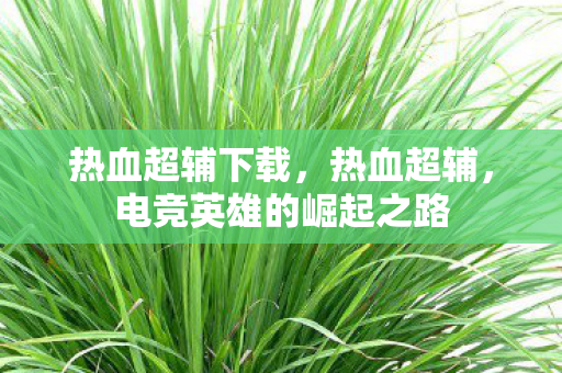 热血超辅下载，热血超辅，电竞英雄的崛起之路