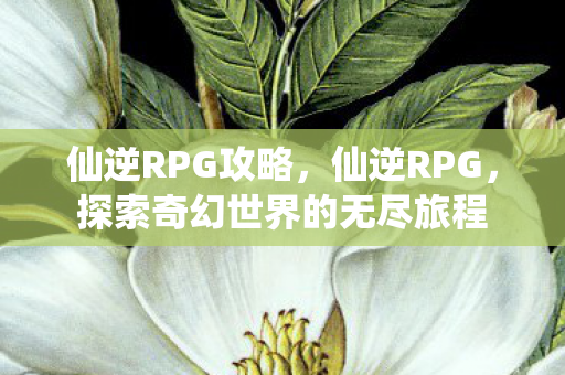 仙逆RPG攻略，仙逆RPG，探索奇幻世界的无尽旅程