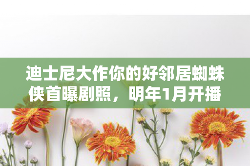 迪士尼大作你的好邻居蜘蛛侠首曝剧照，明年1月开播