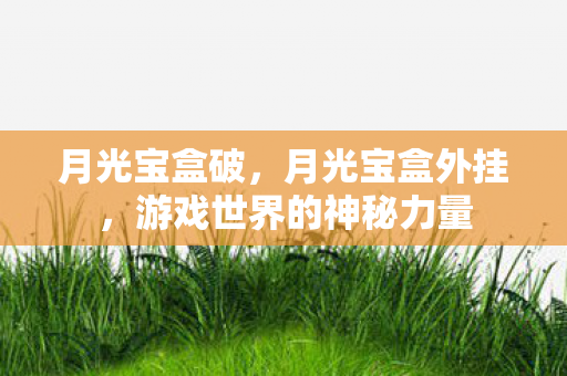 月光宝盒破，月光宝盒外挂，游戏世界的神秘力量