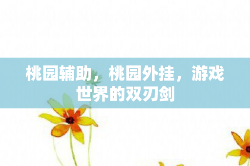 桃园辅助，桃园外挂，游戏世界的双刃剑