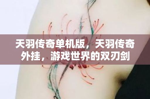 天羽传奇单机版，天羽传奇外挂，游戏世界的双刃剑