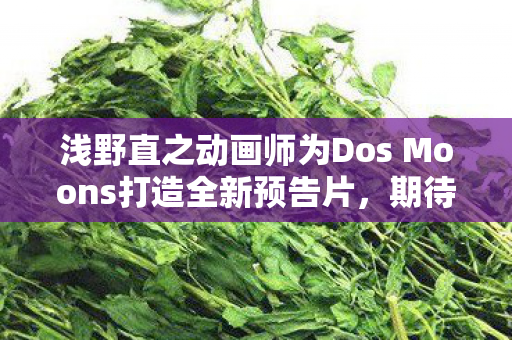 浅野直之动画师为Dos Moons打造全新预告片，期待已久的新作即将来临