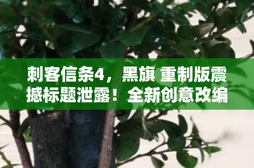 刺客信条4，黑旗 重制版震撼标题泄露！全新创意改编之旅