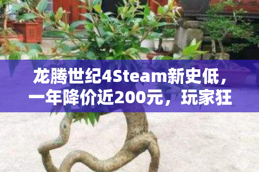 龙腾世纪4Steam新史低，一年降价近200元，玩家狂欢时刻！