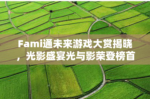 Fami通未来游戏大赏揭晓，光影盛宴光与影荣登榜首！