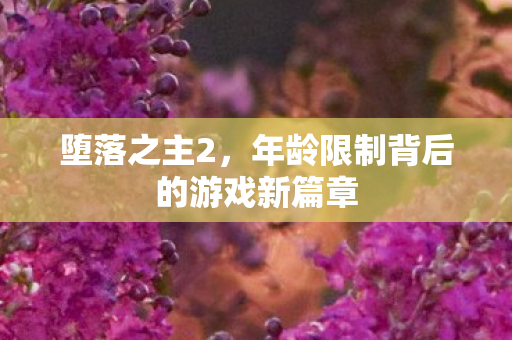 堕落之主2，年龄限制背后的游戏新篇章