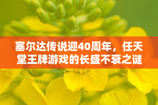 塞尔达传说迎40周年，任天堂王牌游戏的长盛不衰之谜