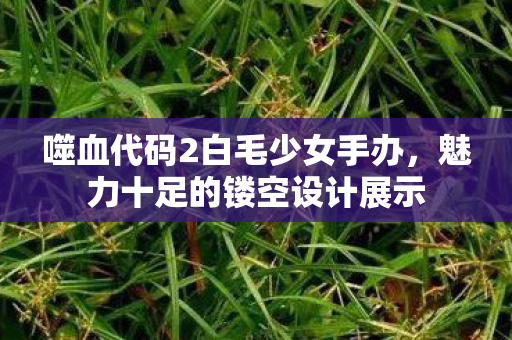 噬血代码2白毛少女手办，魅力十足的镂空设计展示