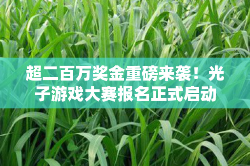 超二百万奖金重磅来袭！光子游戏大赛报名正式启动