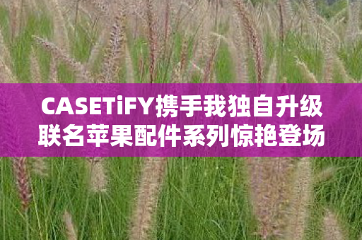 CASETiFY携手我独自升级联名苹果配件系列惊艳登场