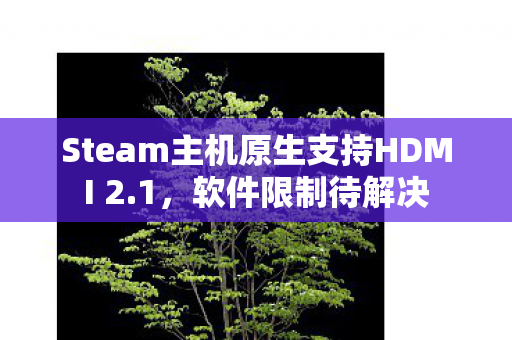 Steam主机原生支持HDMI 2.1，软件限制待解决