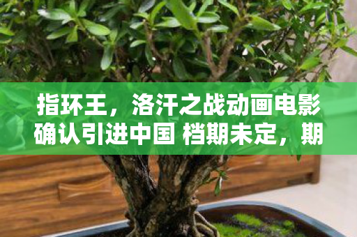 指环王，洛汗之战动画电影确认引进中国 档期未定，期待无限！