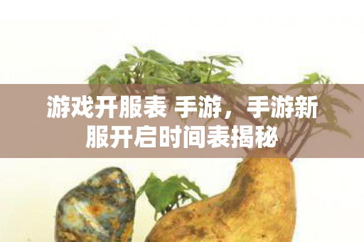 游戏开服表 手游，手游新服开启时间表揭秘