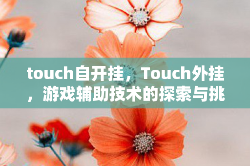touch自开挂，Touch外挂，游戏辅助技术的探索与挑战