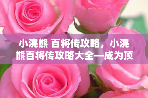 小浣熊 百将传攻略，小浣熊百将传攻略大全—成为顶尖玩家的秘诀