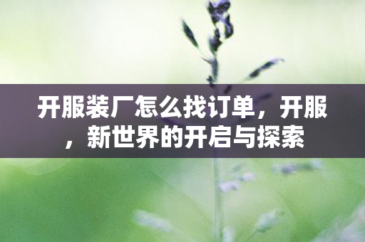 开服装厂怎么找订单，开服，新世界的开启与探索