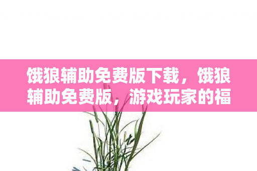 饿狼辅助免费版下载，饿狼辅助免费版，游戏玩家的福音