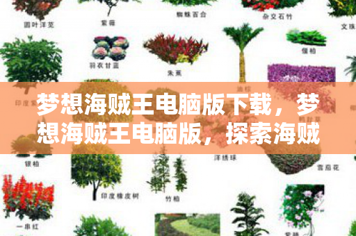 梦想海贼王电脑版下载，梦想海贼王电脑版，探索海贼世界的冒险之旅