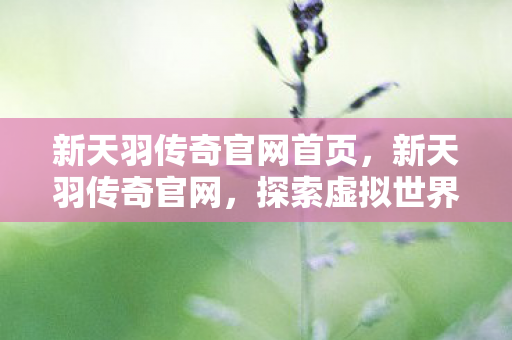 新天羽传奇官网首页，新天羽传奇官网，探索虚拟世界的门户