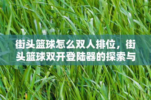 街头篮球怎么双人排位，街头篮球双开登陆器的探索与应用