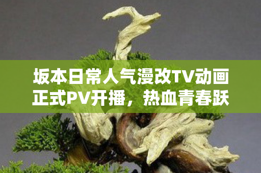 坂本日常人气漫改TV动画正式PV开播，热血青春跃然荧屏！
