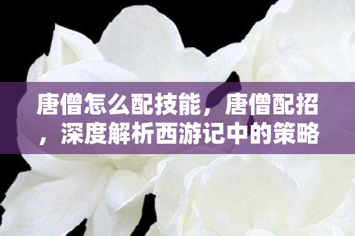 唐僧怎么配技能，唐僧配招，深度解析西游记中的策略与智慧