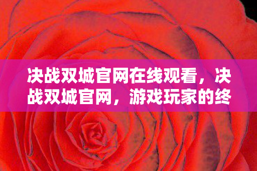 决战双城官网在线观看，决战双城官网，游戏玩家的终极目的地