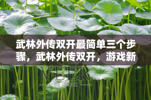 武林外传双开最简单三个步骤，武林外传双开，游戏新境界的探索