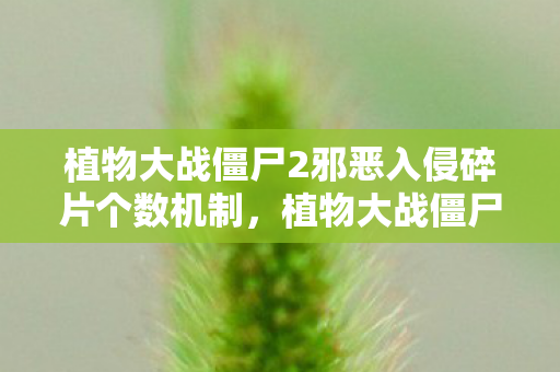 植物大战僵尸2邪恶入侵碎片个数机制，植物大战僵尸2，邪恶入侵的决战时刻
