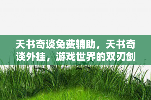 天书奇谈免费辅助，天书奇谈外挂，游戏世界的双刃剑