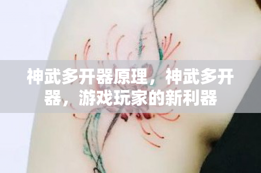 神武多开器原理，神武多开器，游戏玩家的新利器